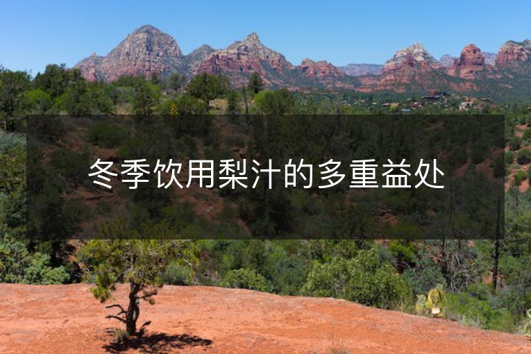 冬季饮用梨汁的多重益处 冬季饮用梨汁的多重益处