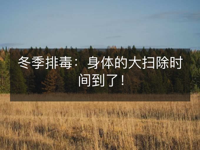 冬季排毒：身体的大扫除时间到了！